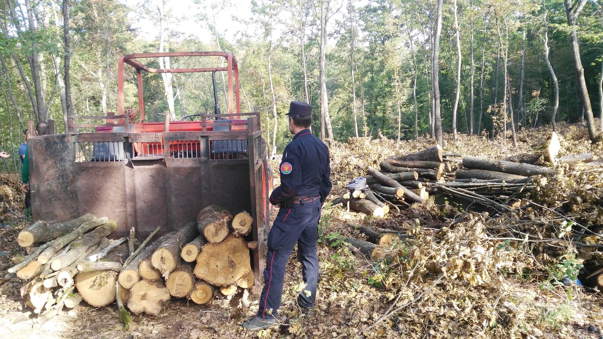 Controlli nei cantieri forestali: tagliatori non in regola con il permesso di soggiorno. Denunciati due operai e titolare della ditta