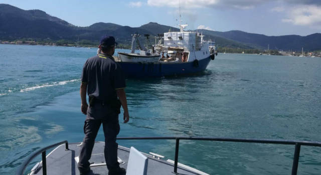 Lavoratori irregolari a bordo di imbarcazioni, i controlli del Roan a Portoferraio