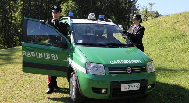 600 mila euro per aumento controllo Carabinieri forestali
