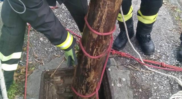 I pompieri tolgono un grosso tronco rimasto incastrato in un canale