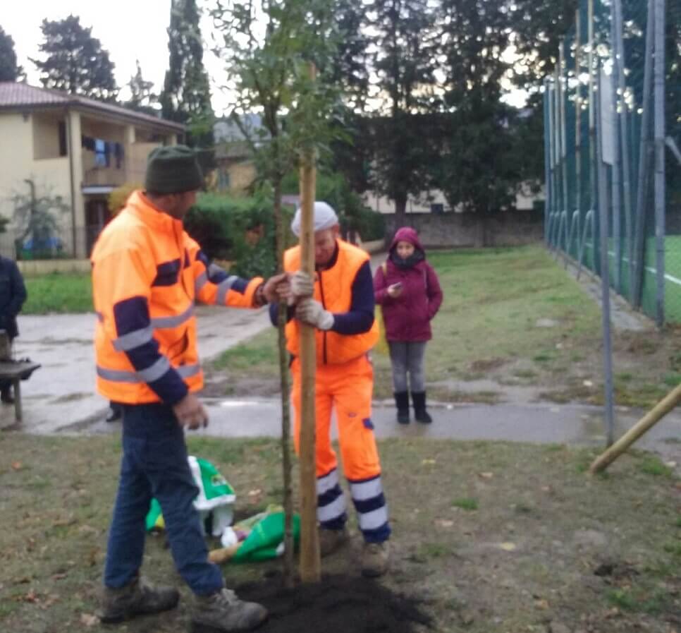 Fiesole (FI): il sindaco pianta alberi per ogni nuovo nato