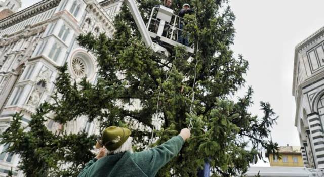 E&#8217; arrivato l&#8217;albero di Natale in piazza del Duomo a Firenze. Il sindaco Nardella: &#8220;Vi aspetto per l&#8217;accensione l&#8217;8 dicembre&#8221;