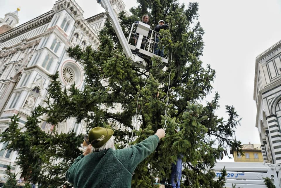 E’ arrivato l’albero di Natale in piazza del Duomo a Firenze. Il sindaco Nardella: “Vi aspetto per l’accensione l’8 dicembre”