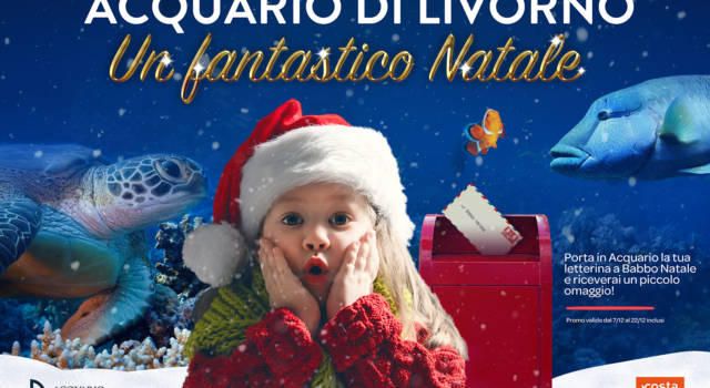 All&#8217;Acquario di Livorno si respira la magia del Natale