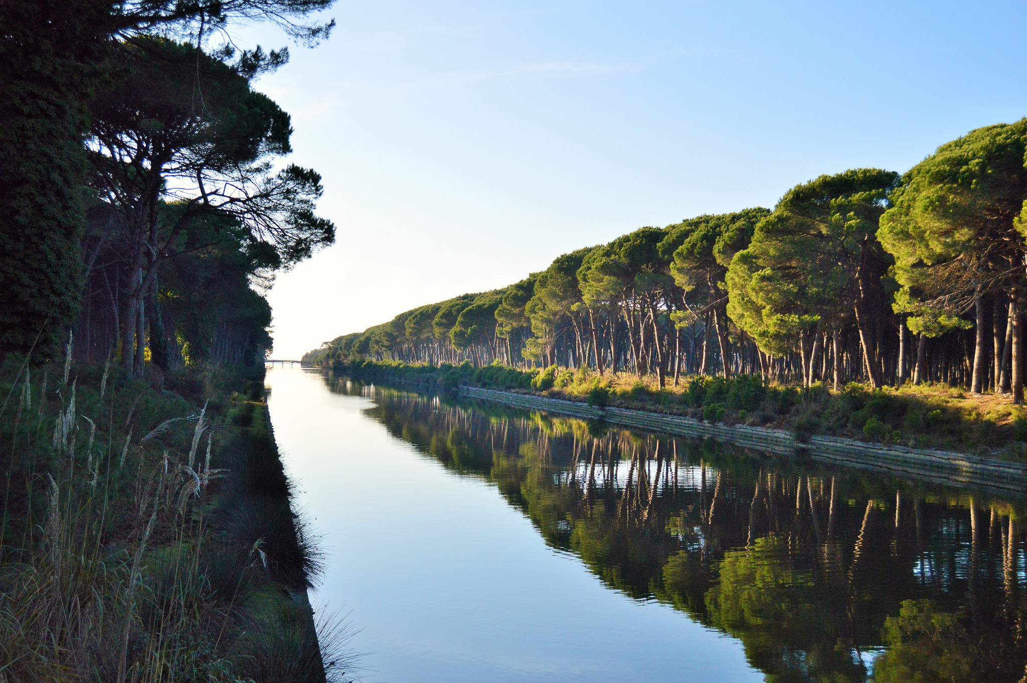 Ambiente: Parco San Rossore, presentato il Piano Integrato