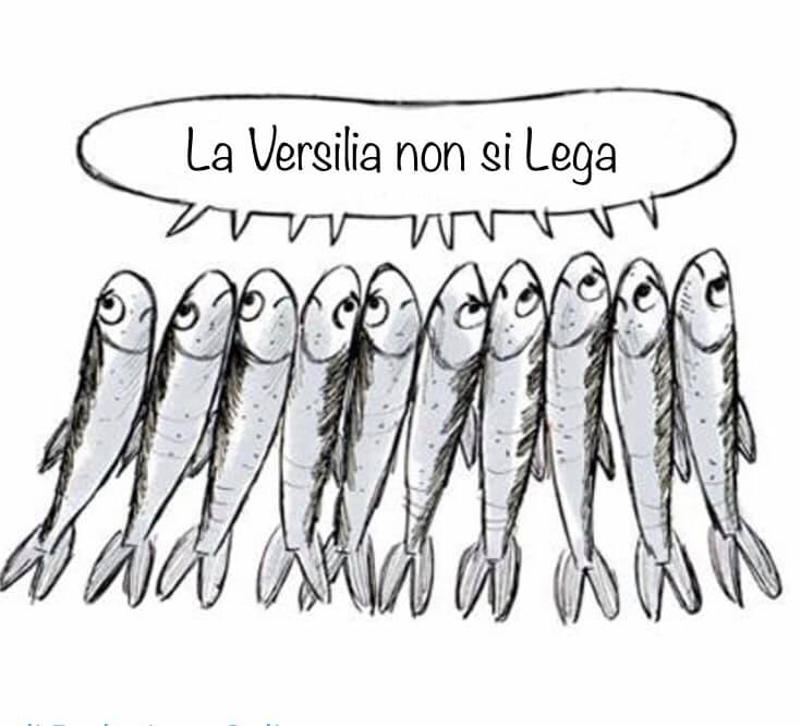 La Versilia non si lega, Sardine in piazza anche a Viareggio il prossimo 18 gennaio