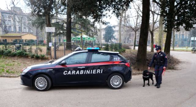 Cani antiveleno a caccia di polpette avvelenate: vasta operazione in centro a Firenze