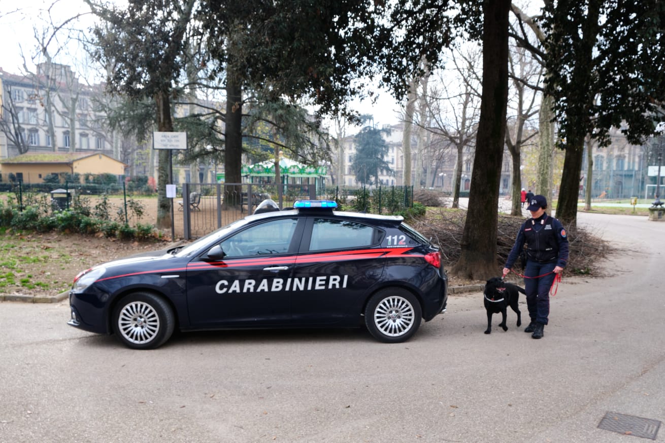 Cani antiveleno a caccia di polpette avvelenate: vasta operazione in centro a Firenze