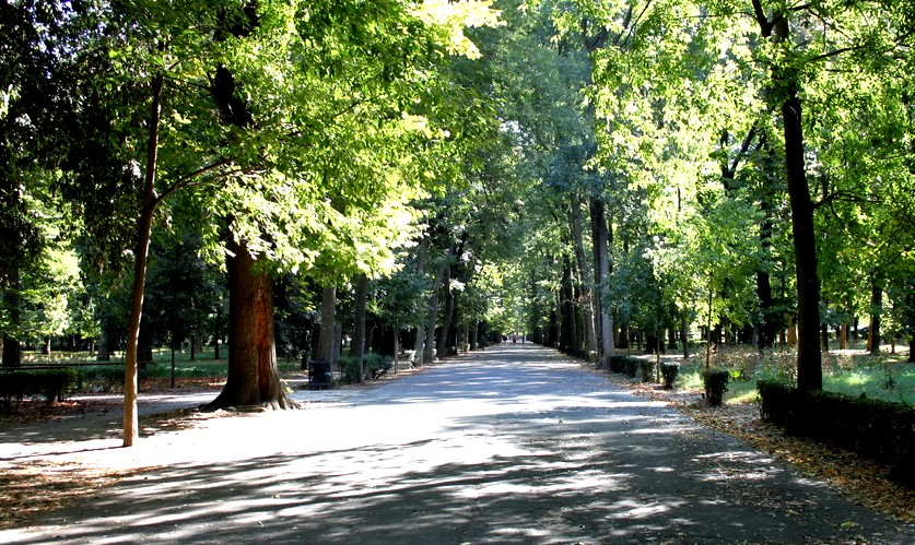 Controlli alle Cascine, un arresto