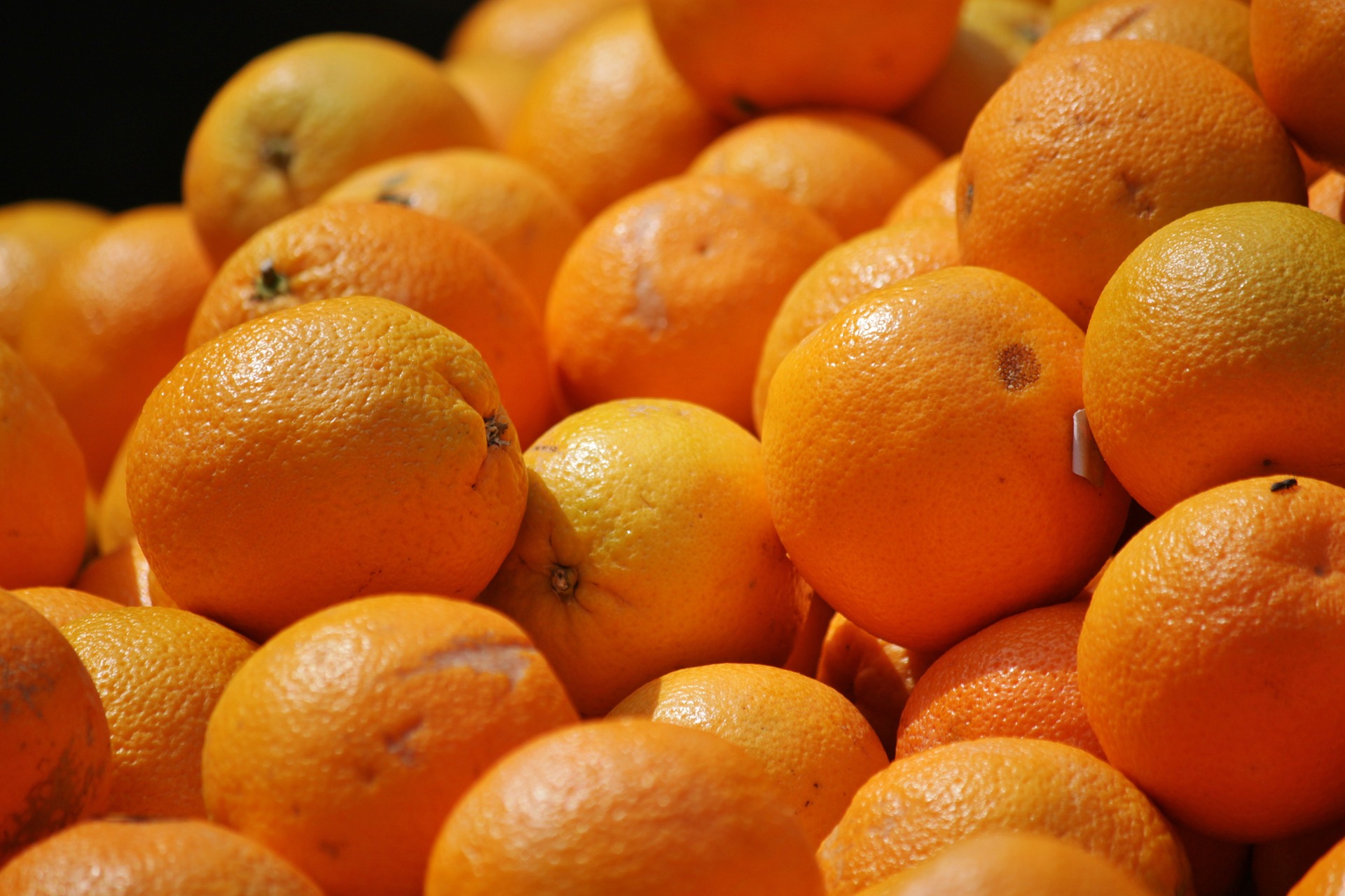 Bagno a Ripoli (FI): tornano le arance della legalità