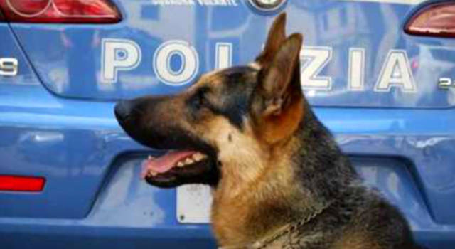 50 persone identificate, 1 arresto e 5 denunce: i controlli a Firenze della Polizia