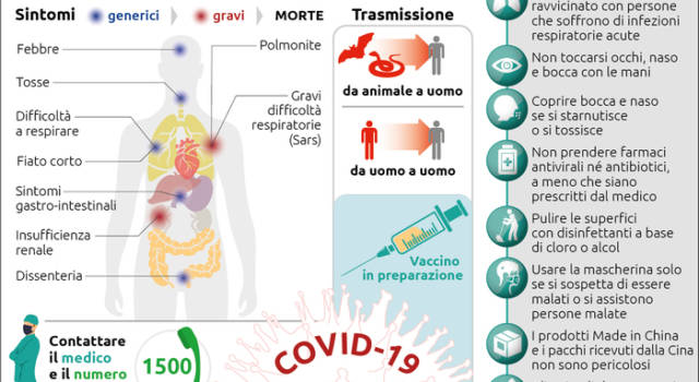 Coronavirus, il vademecum: dal lavarsi le mani all&#8217;uso di disinfettanti