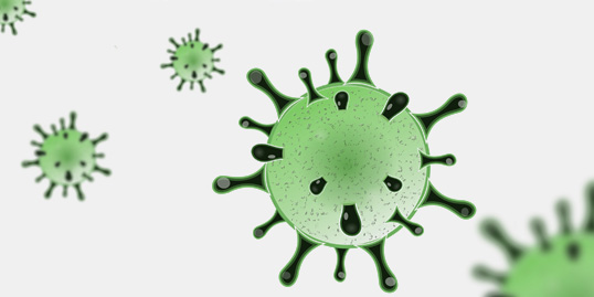 Coronavirus, Lucchetti (Confindustria Massa Carrara) “Prima la salute, insieme dobbiamo combattere il virus”