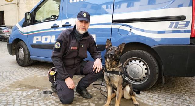 “Mia” e “Amper” ancora a segno alle Cascine: i “cani antidroga” della Polizia di Stato hanno scovato un altro mezzo chilo di hashish