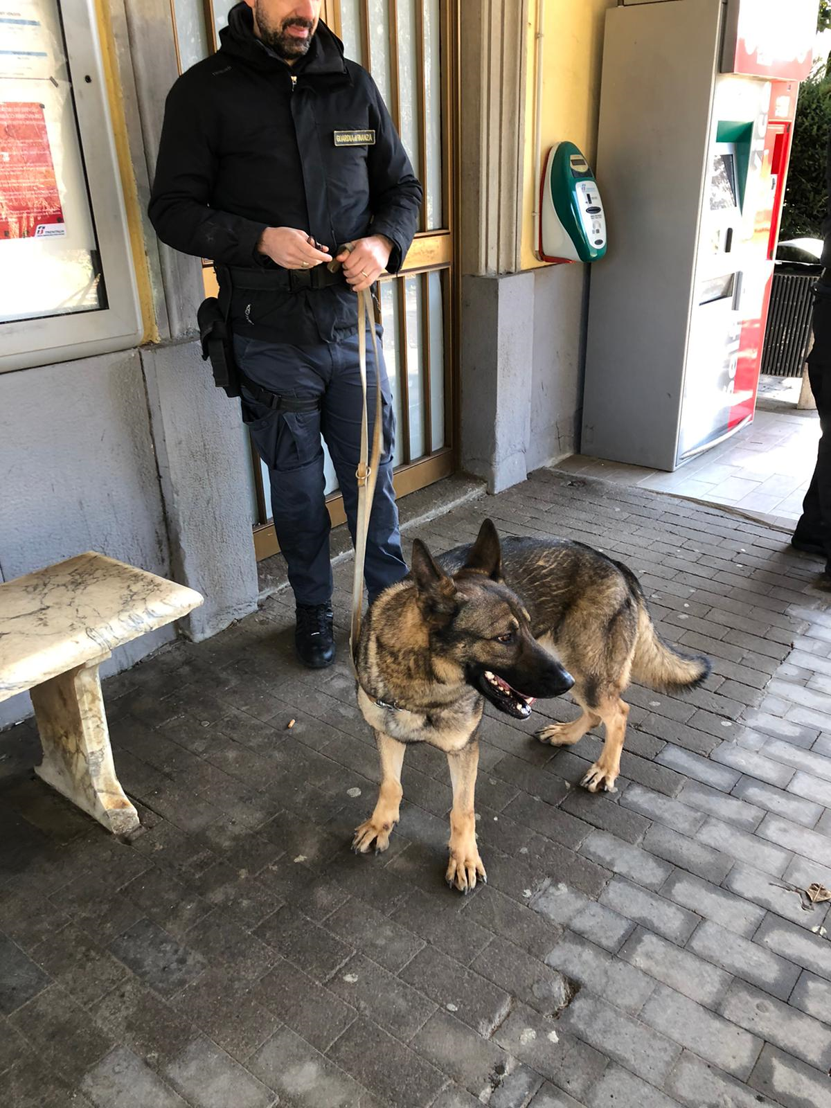 La GdF col cane antidroga Fegas controlla le stazioni della Lucca – Aulla