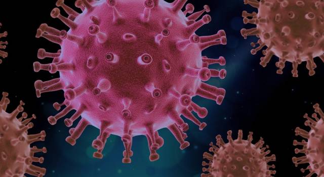 Coronavirus, 61 nuovi casi, 16 decessi, 278 guarigioni (138 virali), 48 ricoveri in meno