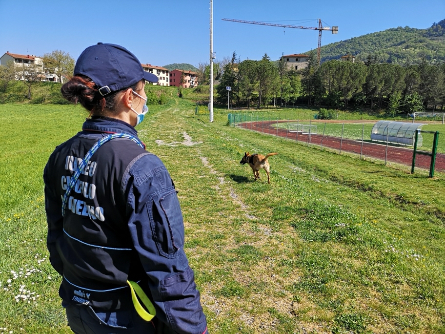 Bocconi avvelenati, intervengono i Carabinieri con l’unità cinofila