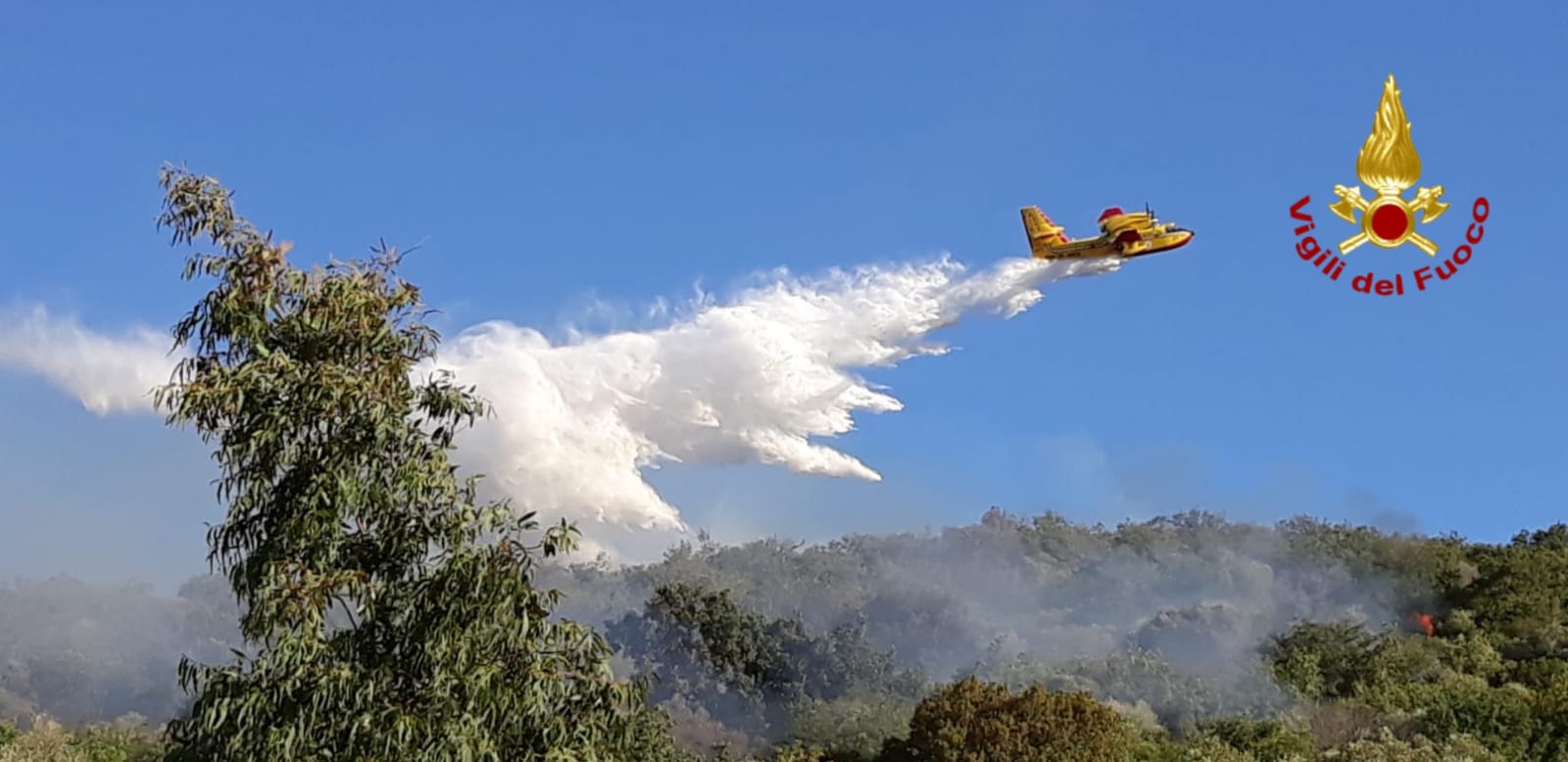 In fase di bonifica l’incendio a La Parrina, a Orbetello. Bruciati 12 ettari di macchia mediterranea