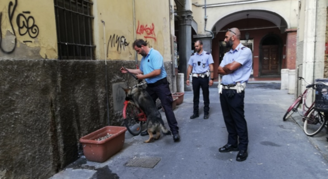 Pisa, il Comune assume sei agenti di polizia municipale