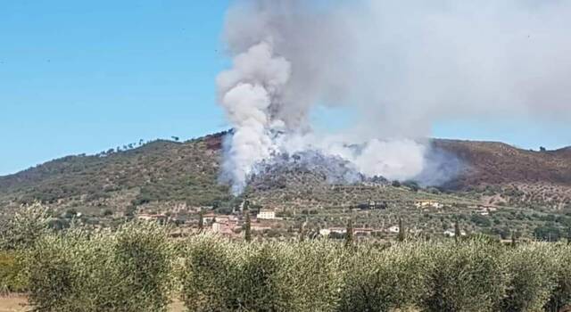 Sotto controllo l&#8217;incendio boschivo di Cortona (Ar). 7 gli ettari percorsi dal fuoco