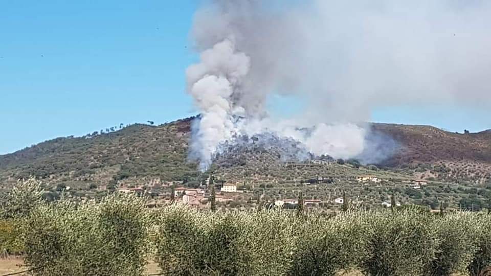 Sotto controllo l’incendio boschivo di Cortona (Ar). 7 gli ettari percorsi dal fuoco