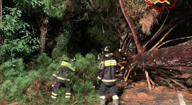 Maltempo, albero cade sulla strada: una vettura resta coinvolta