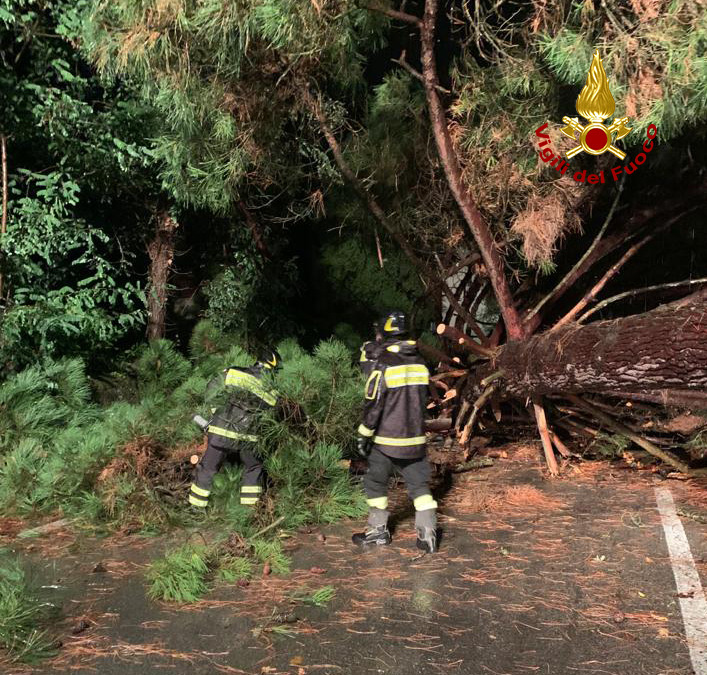 Maltempo, albero cade sulla strada: una vettura resta coinvolta