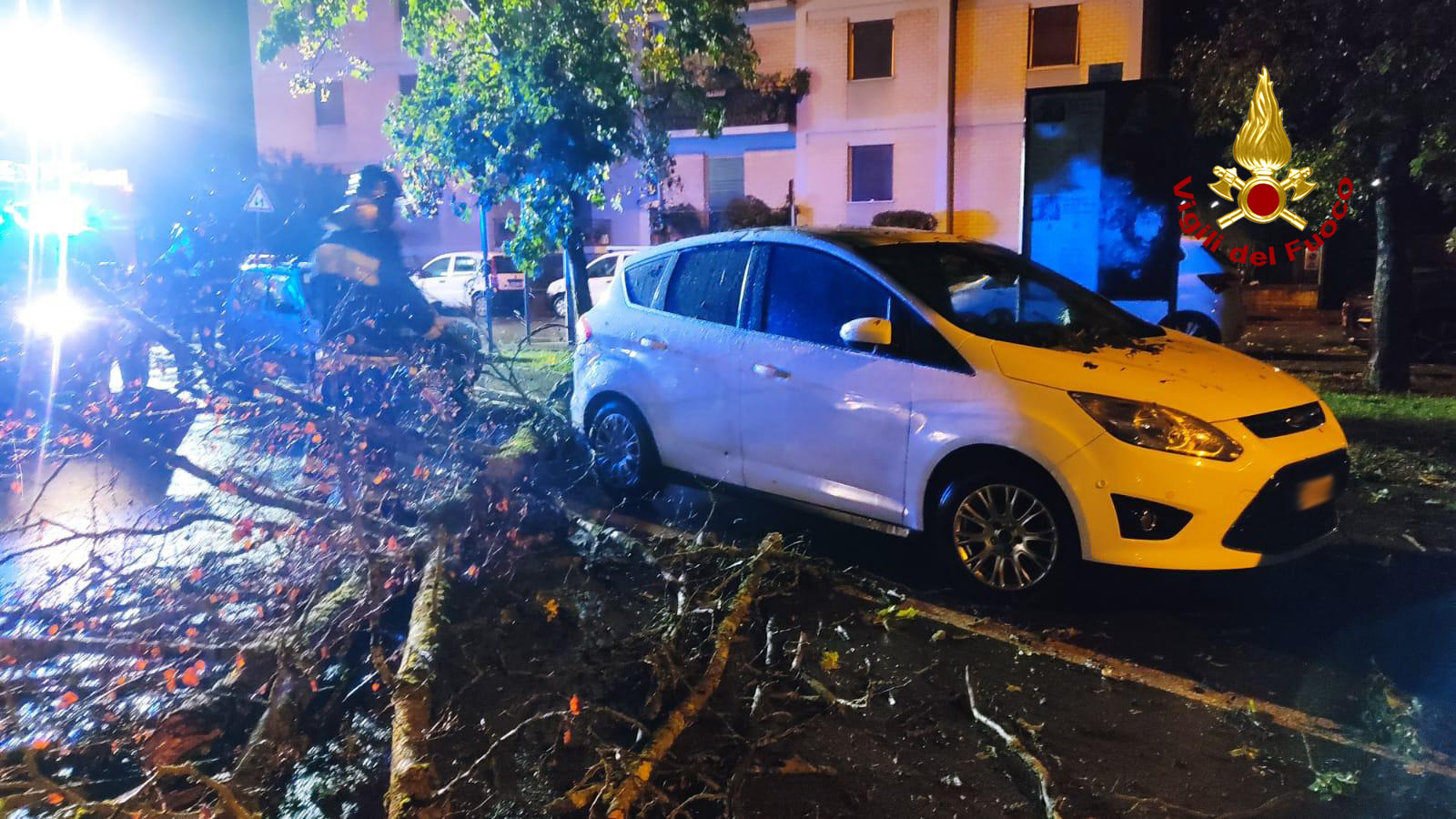 Alberi caduti e tegole pericolanti: notte da lupi nell’aretino