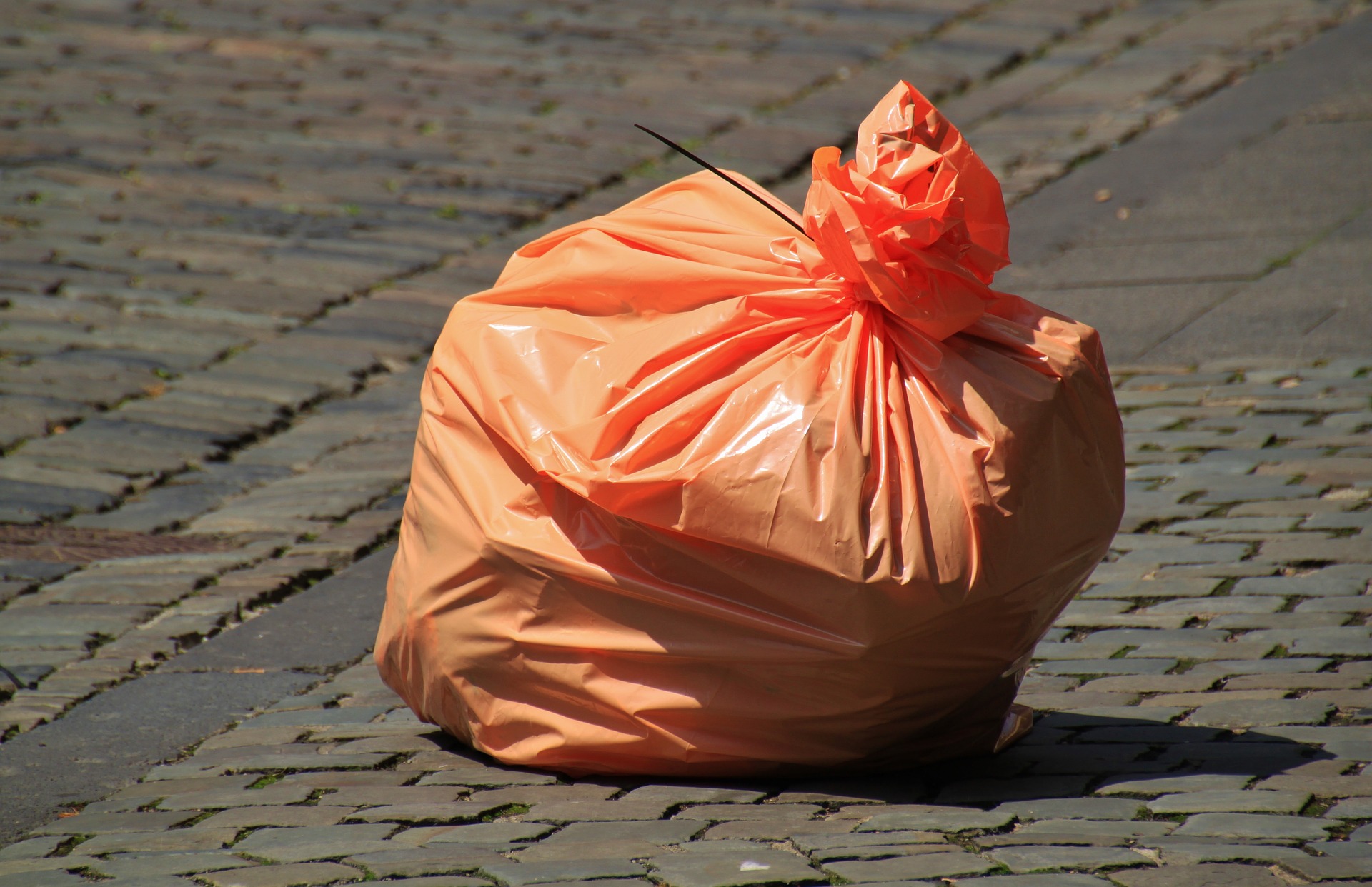 Fototrappole in azione nel Chianti. Stop agli abusivi dei rifiuti