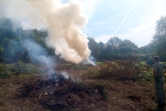 Monte Argentario in fiamme: in cenere 1500 mq di vegetazione