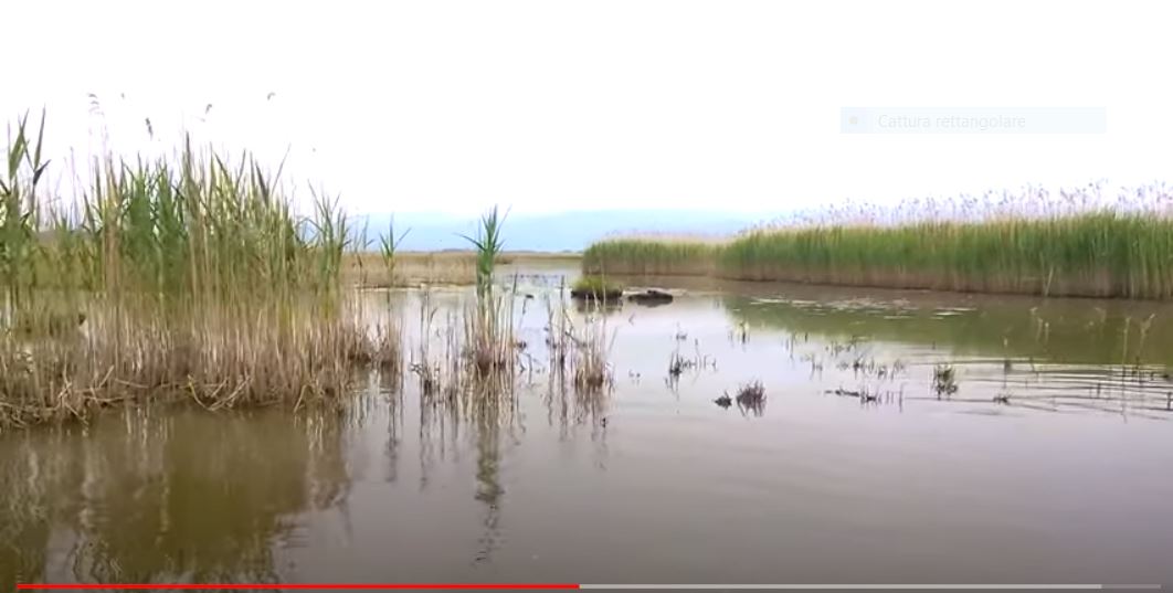 Padule di Fucecchio e Lago di Sibolla, firmata convenzione per gestione unitaria per il rilancio