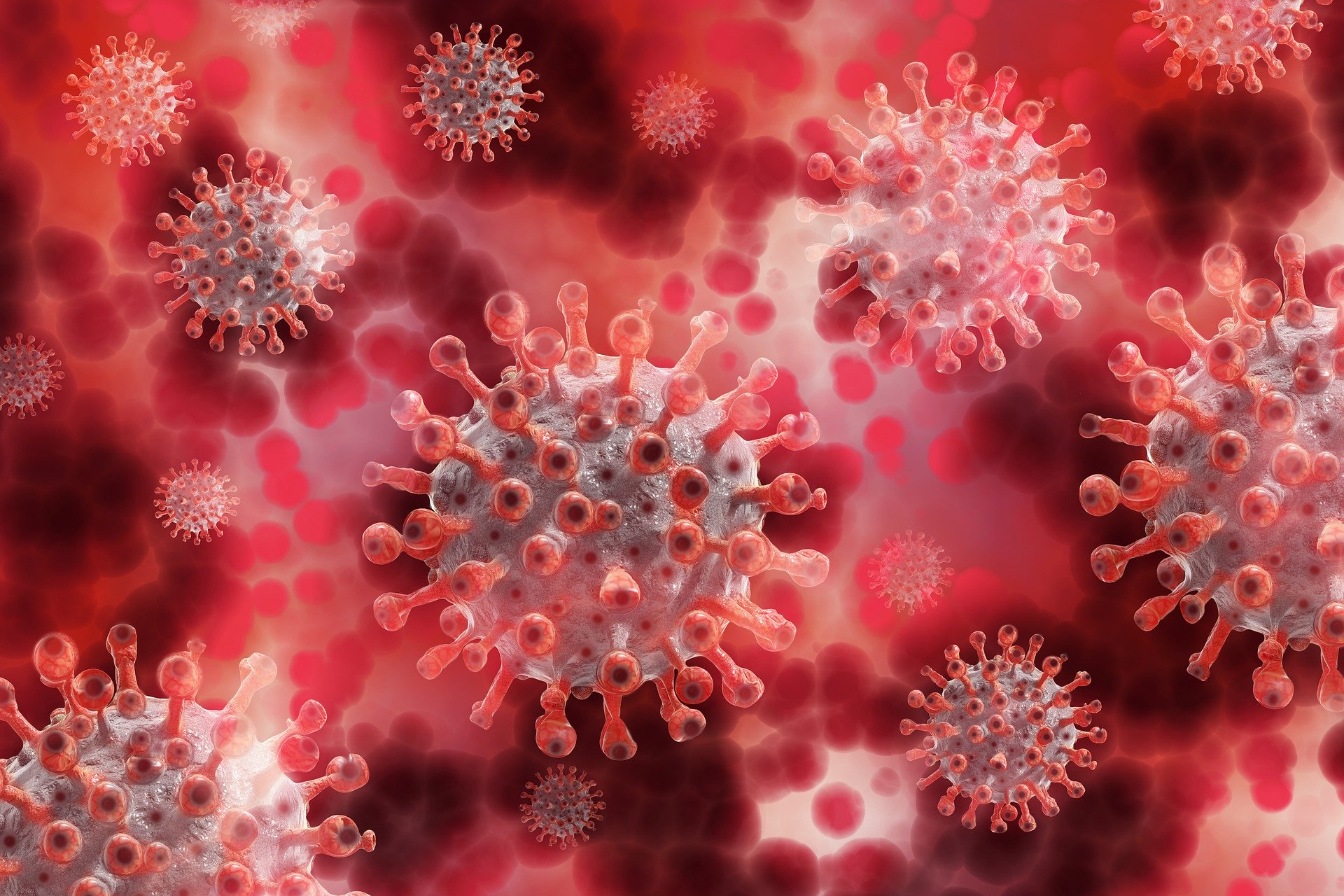 Coronavirus, 589 nuovi positivi in Toscana