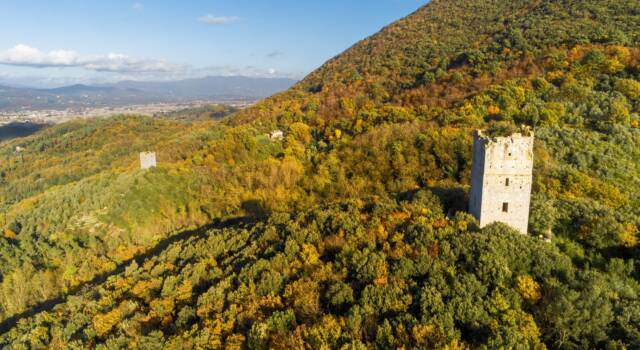 Calci, la Comunità del Bosco Monte Pisano cerca proprietari terrieri