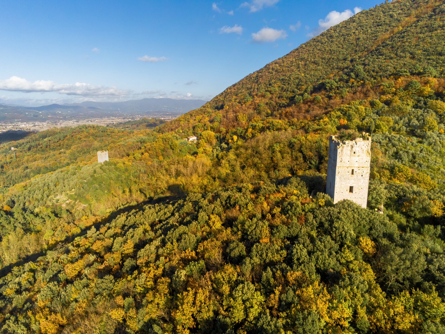 Calci, la Comunità del Bosco Monte Pisano cerca proprietari terrieri