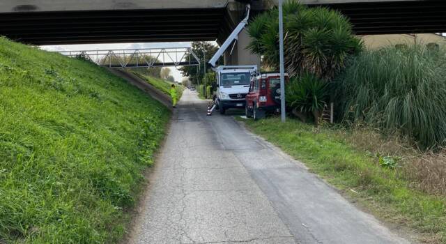 In corso i lavori di manutenzione straordinaria al sottovia autostradale di Via di Piaggia a Migliarino