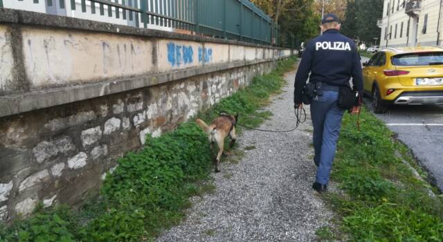 Scuole sicure, i controlli della Polizia a Lucca con i cani antidroga