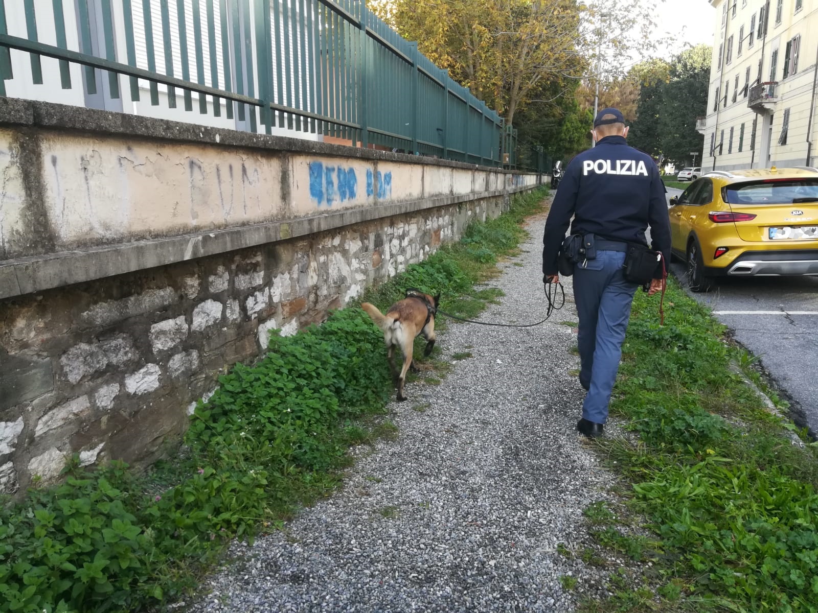 Scuole sicure, i controlli della Polizia a Lucca con i cani antidroga