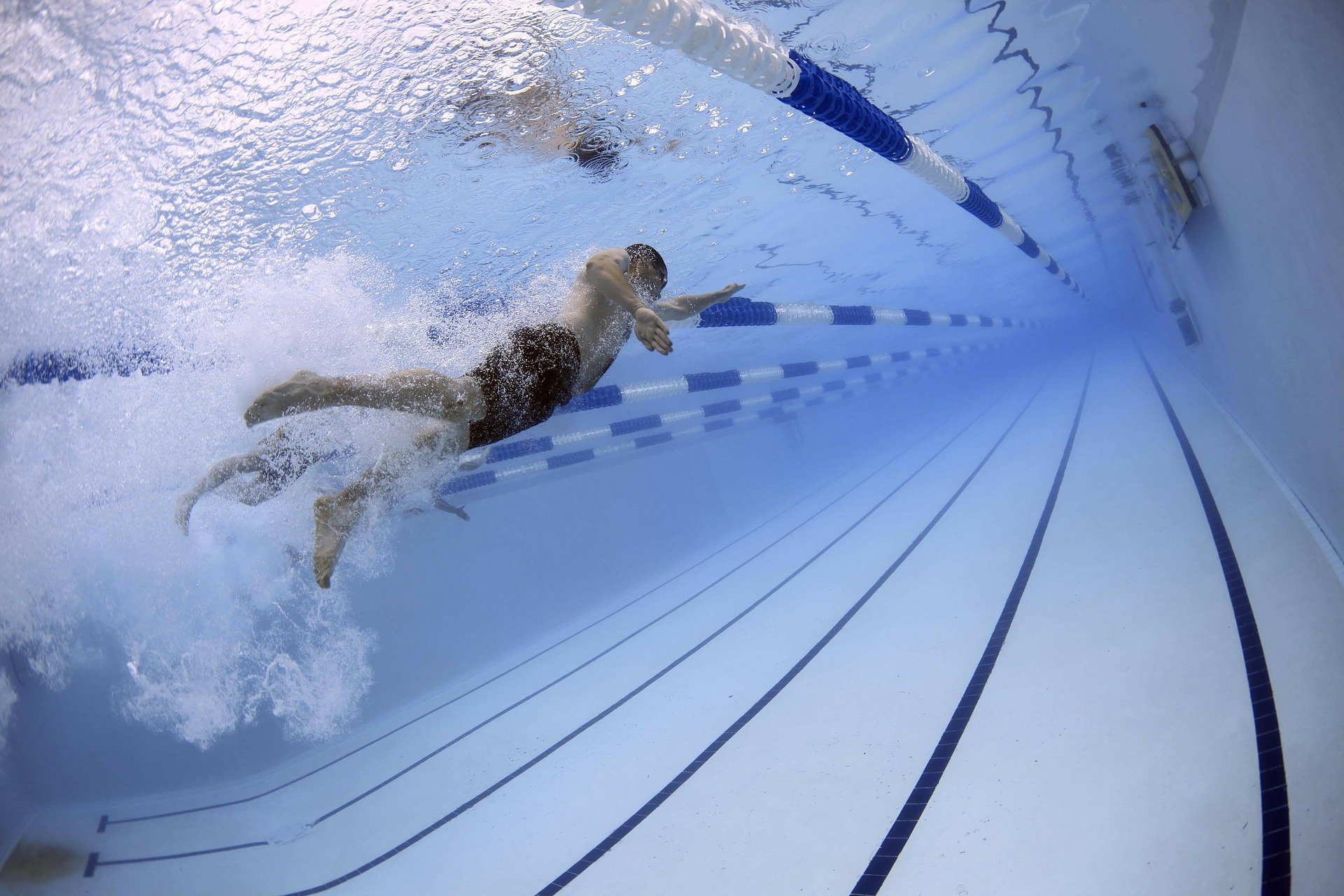 Sport, a Massa e Carrara il nuoto agonistico non si ferma