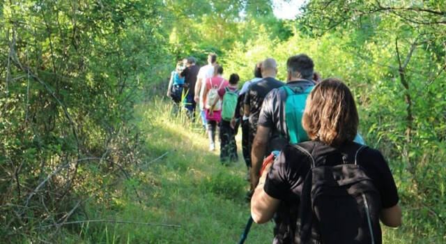 L&#8217;autunno nel bosco: visite guidate nell&#8217;Oasi WWF della Cornacchiaia