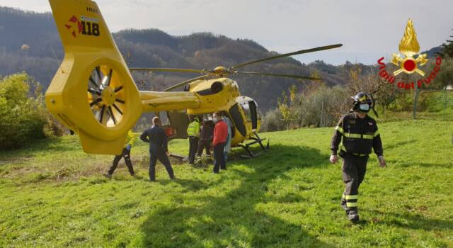 Cade durante la raccolta delle olive, interviene l&#8217;elicottero del 118