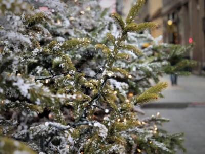 Prato, il Comune investe 100 mila euro per illuminare il Natale