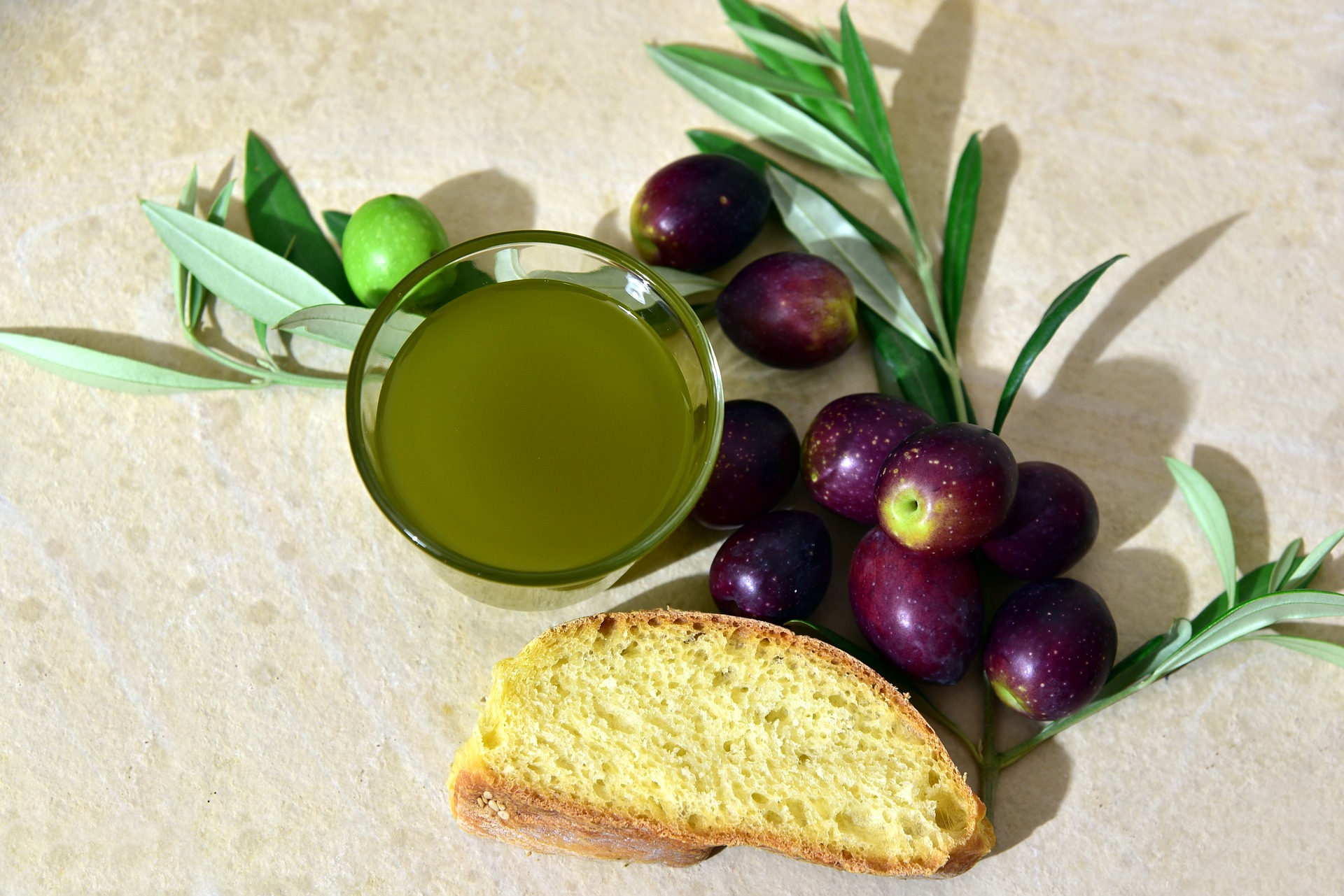 Export, Coldiretti Toscana: “Olio spinge Made in Italy nel mondo “