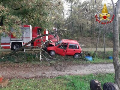 Frontale contro l’albero, estratto il conducente grazie ai vigili del fuoco