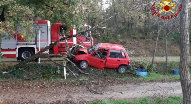 Frontale contro l&#8217;albero, estratto il conducente grazie ai vigili del fuoco