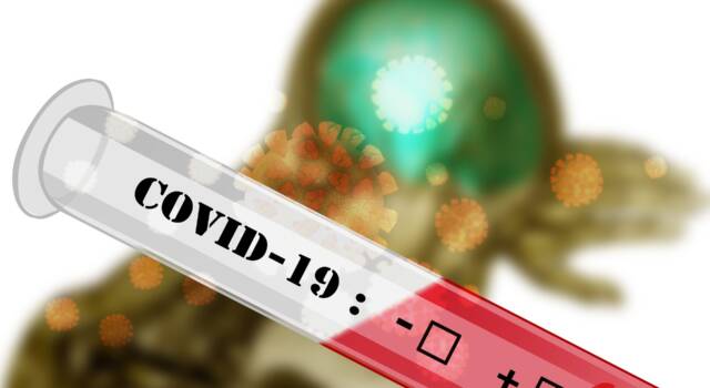 Coronavirus: 956 nuovi casi, età media 44 anni. 11 decessi