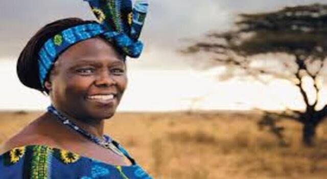 Un leccio dedicato al premio Nobel per la Pace Wangari Mathai, prima donna africana ad ottenere il prestigioso riconoscimento.
