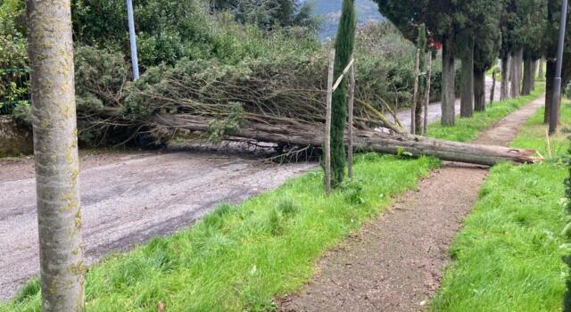 Sabato 3 aprile codice giallo per vento su Toscana centrale e costa pisano-livornese