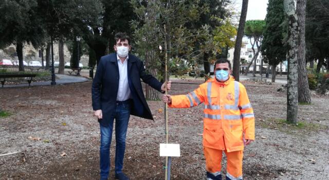 Un albero dedicato a Wangari Mathai