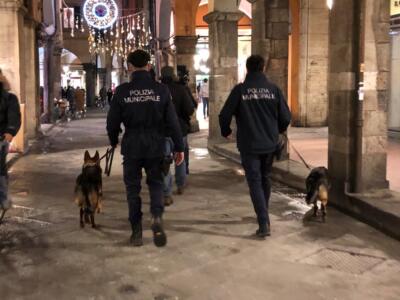 Sicurezza, a Pisa entrano a pieno regime le unità antidroga cinofile