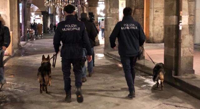 Sicurezza, a Pisa entrano a pieno regime le unità antidroga cinofile